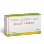 DICEF 250 DT